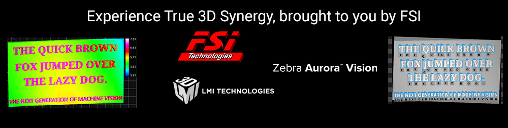 FSI 3D